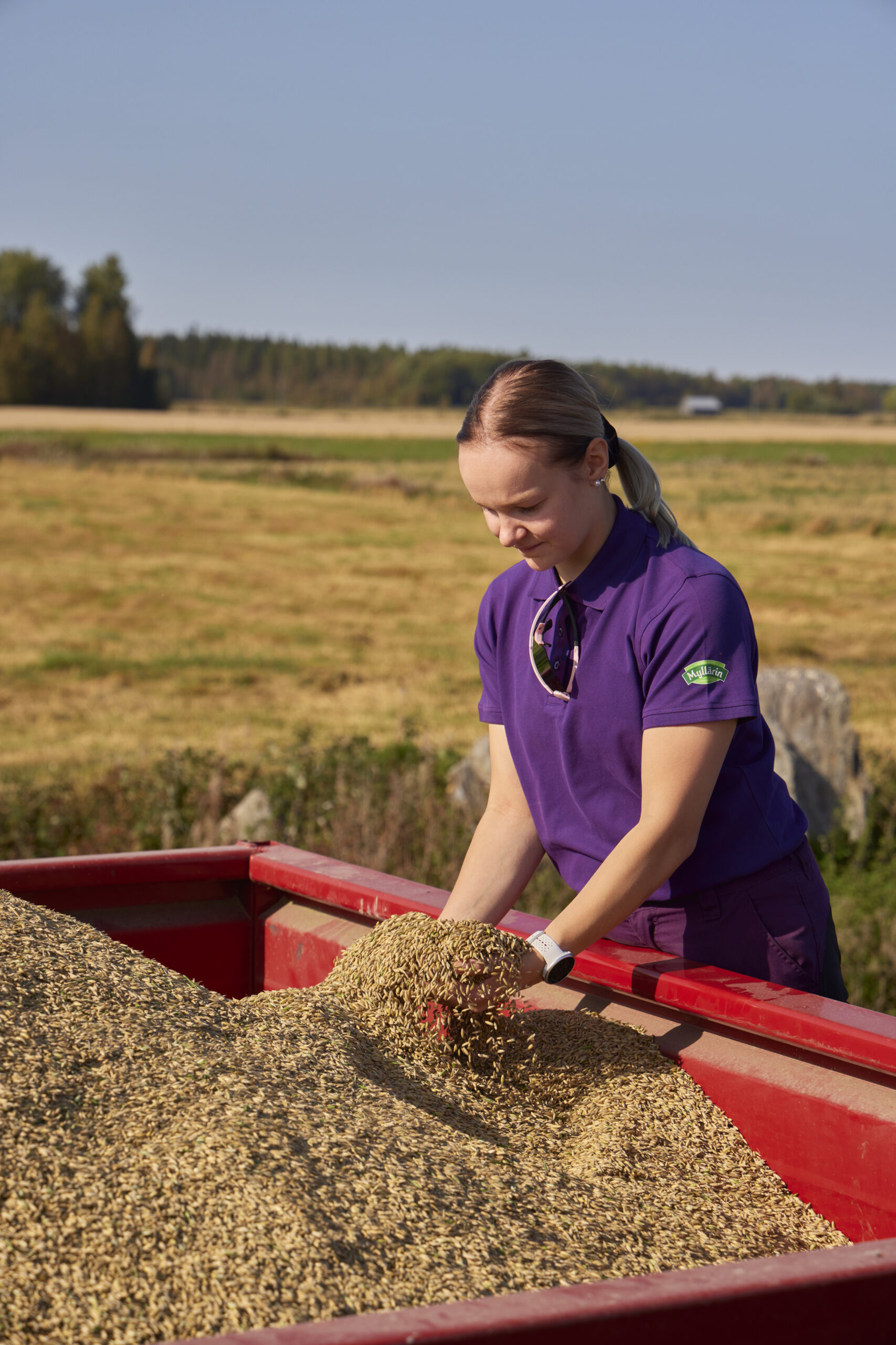 Maatila ja Mylly tietoja